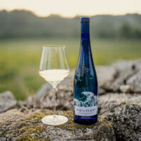 Mar de Frades Albariño 75cl Prix Unitaire – Image 3