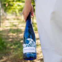 Mar de Frades Albariño 75cl Prix Unitaire – Image 2