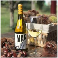 mara-martín-godello-2022-la-vendimia-despagne