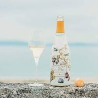 albarino-alma-atlantica-blanc-la-vendimia-despagne
