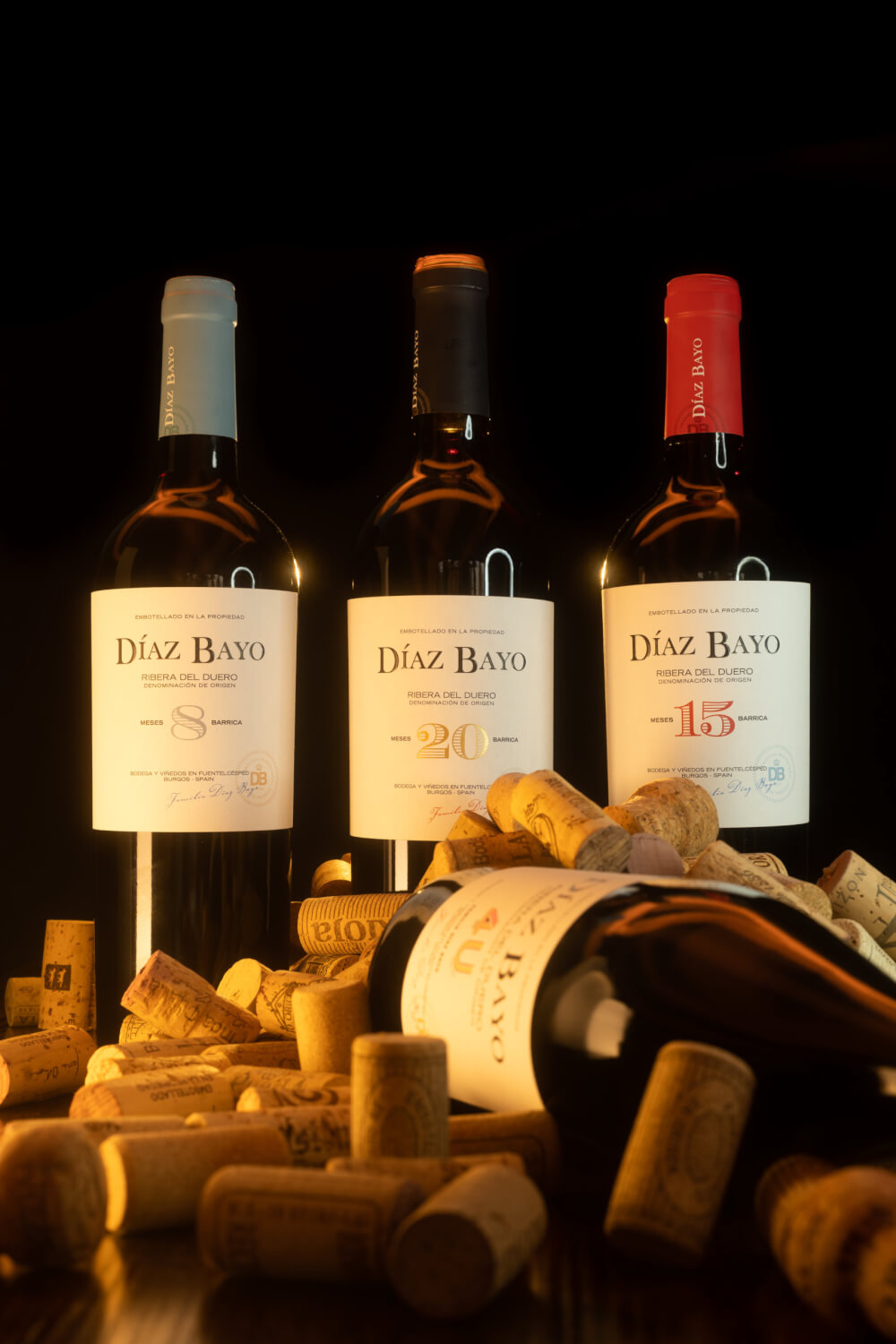 Cave à vins espagnols